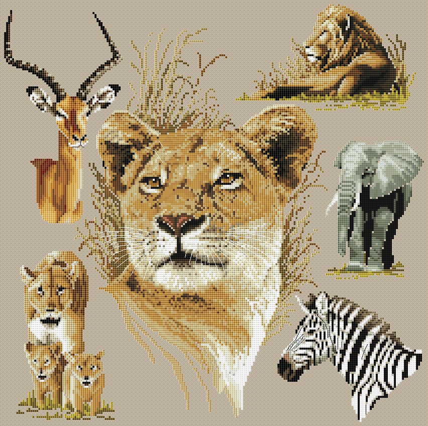 CMP JAN106 0048 Safari Collection
