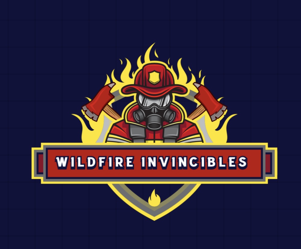 Wildfire Invincibles Fc