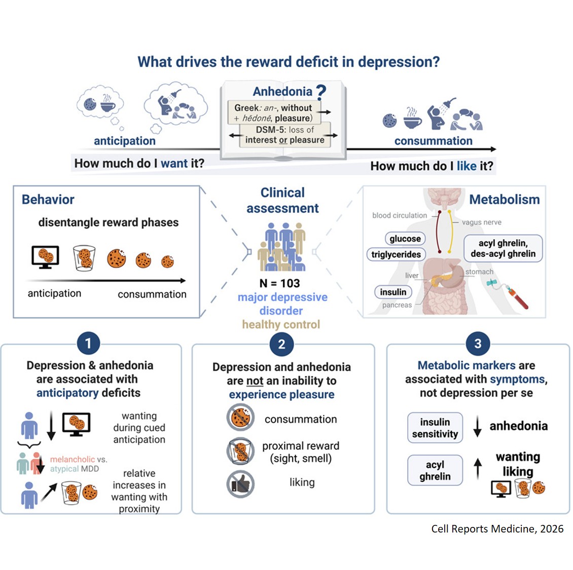 Blunted anticipation, but not consummation, of food rewards in depression