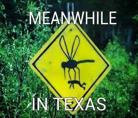 Avoiding Mosquitos in Your RV