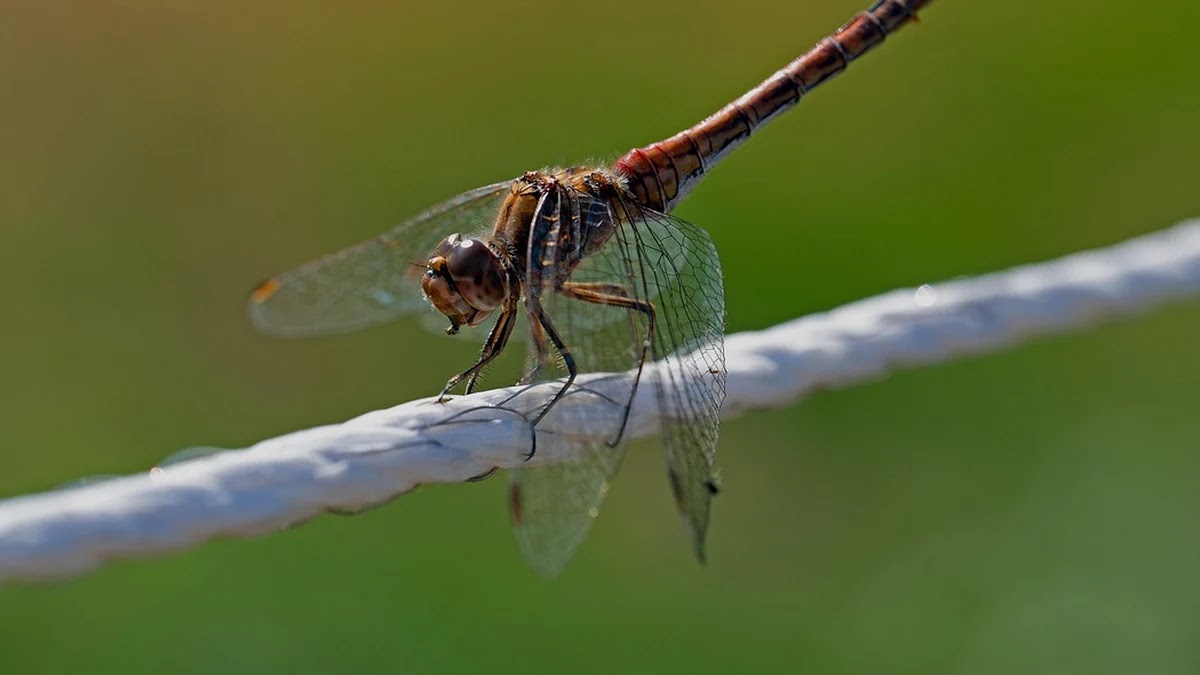 심리학에서 보는 스트레스와 불안의 차이와 대처법