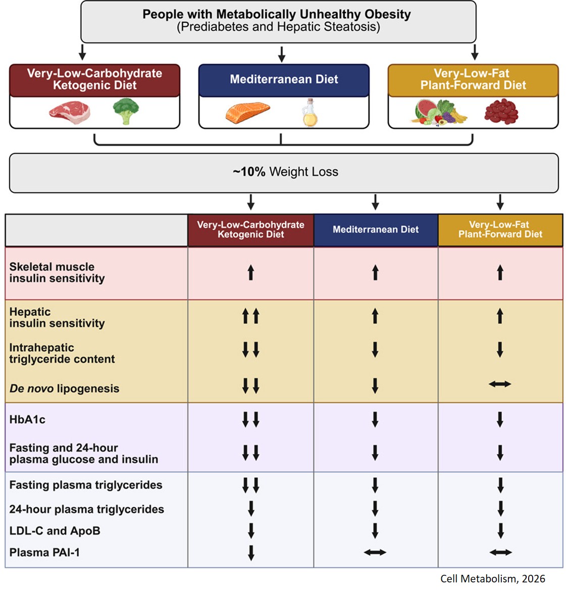 Ketogenic diet boosts liver health in addition to weight loss