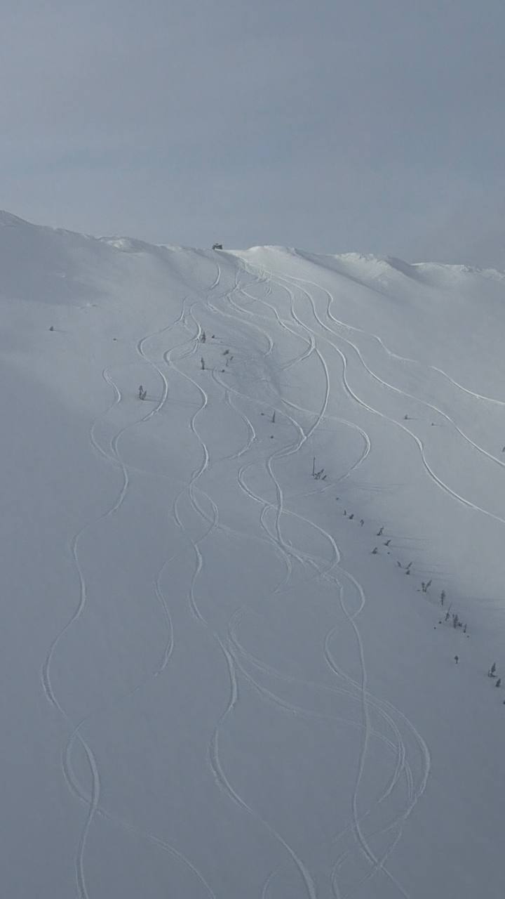 FreerideTour