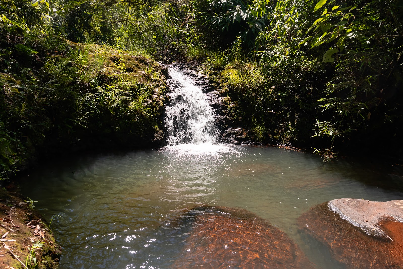 Saltos El Toro de la Selva