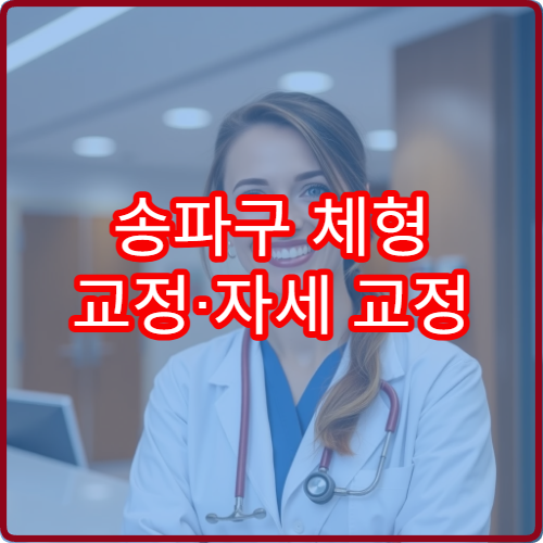 송파구 체형 교정·자세 교정 치료 전문 병원 종합 안내