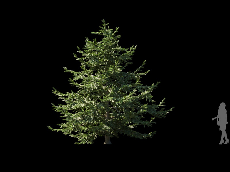 Maxtree - Plant Models Vol.120