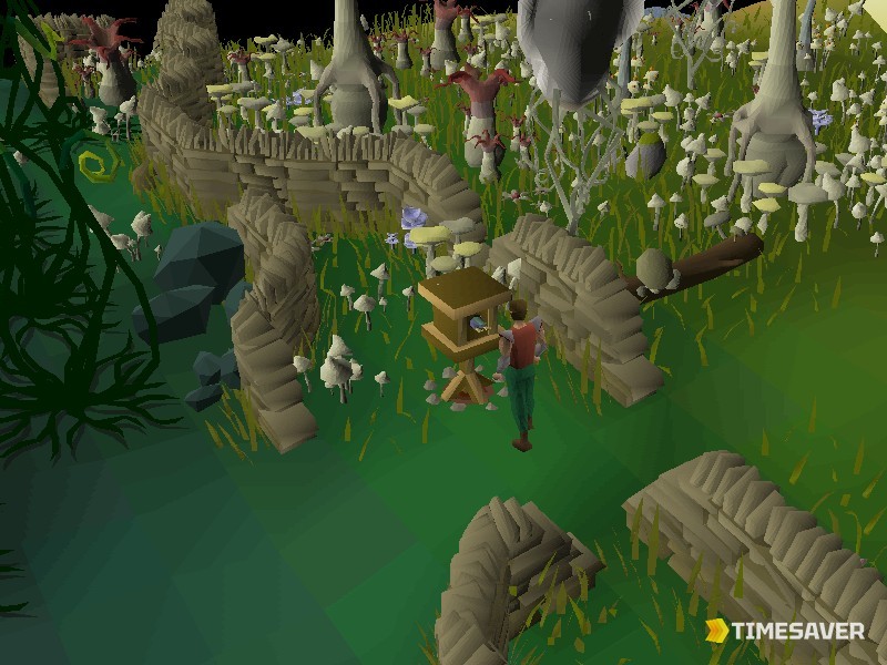 Bird house trapping setup on Fossil Island, a passive Hunter money method in OSRS
