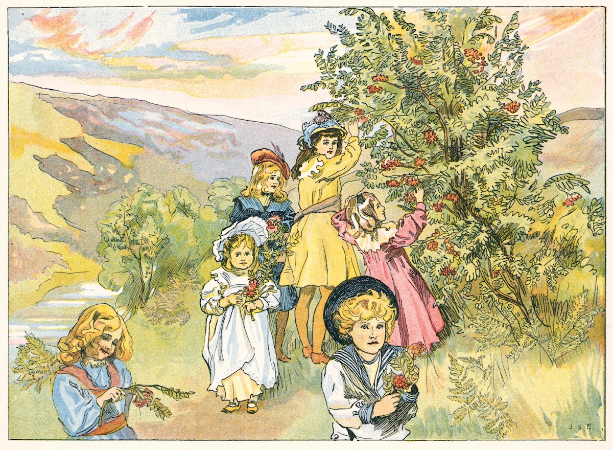 The Rowan 1890
