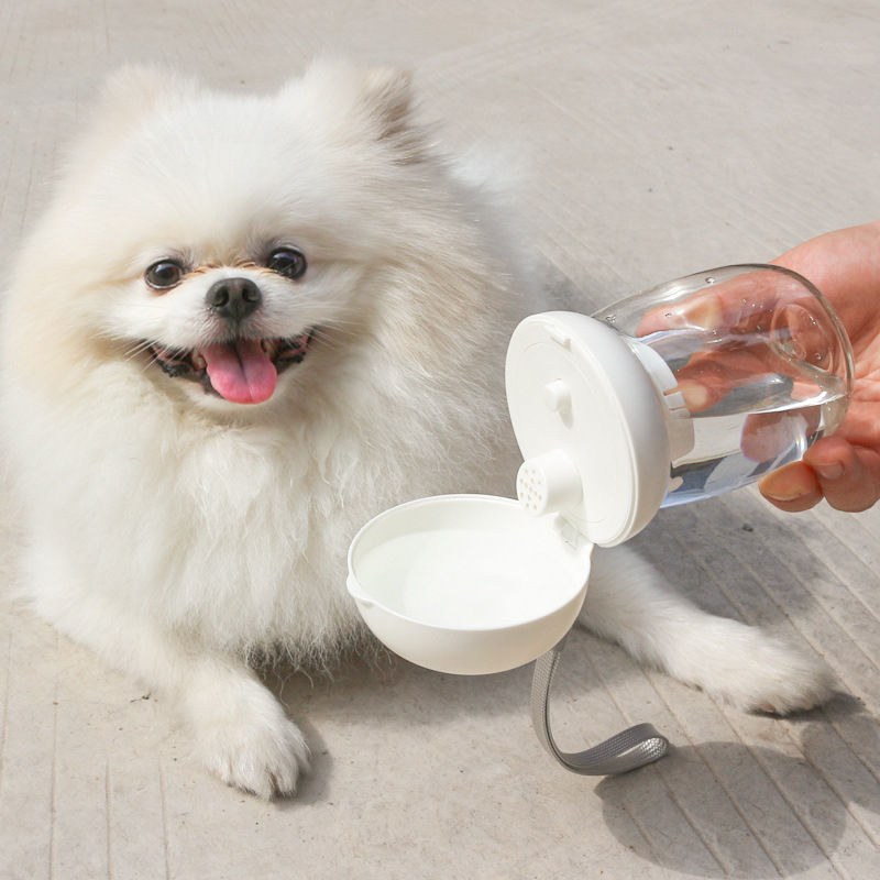 Tragbare Mini-Wassertasse für Haustiere, 300–550 ml
