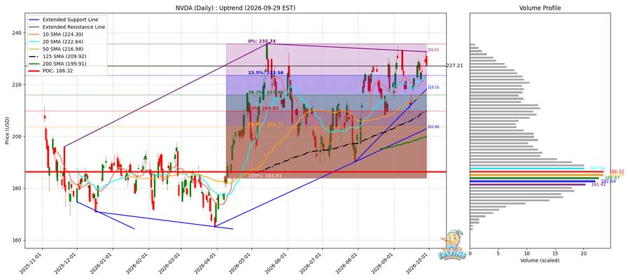 NVDA Daily