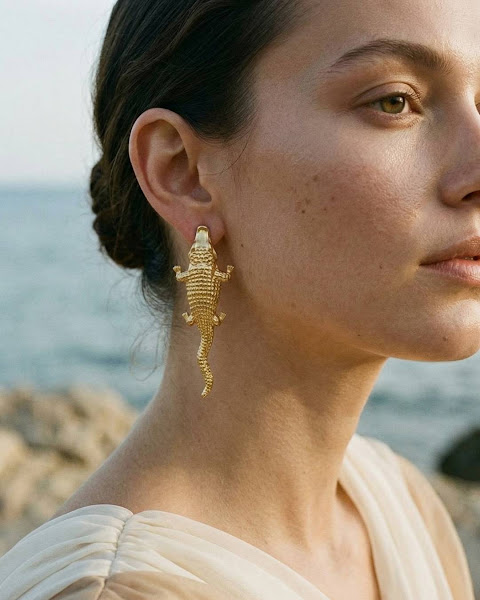 Earrings piece image