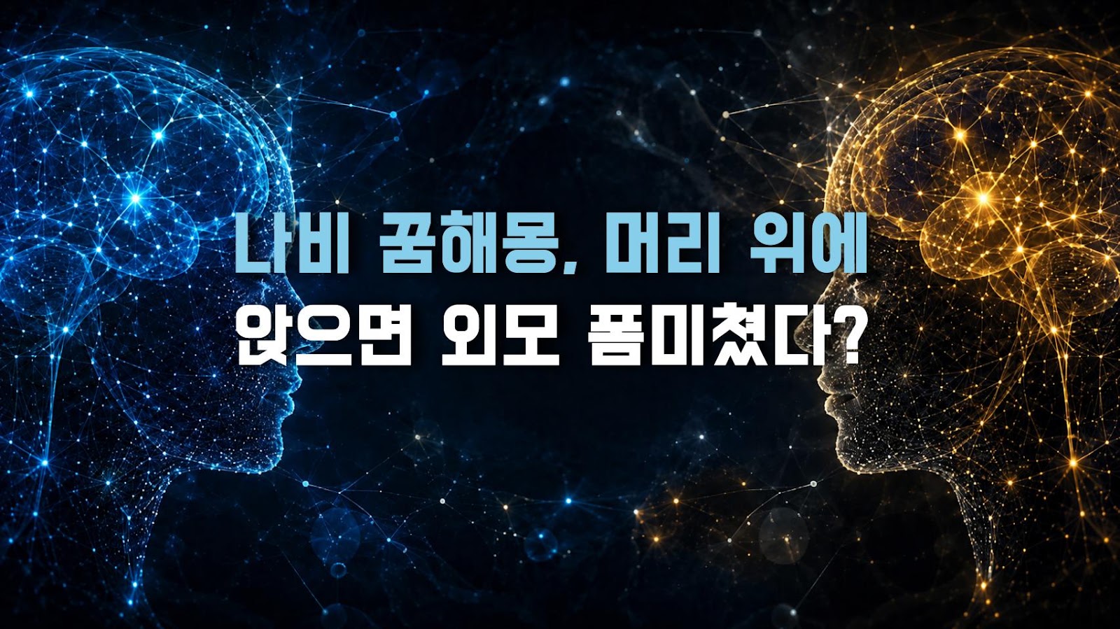 나비 꿈해몽, 머리 위에 앉으면 외모 폼미쳤다?