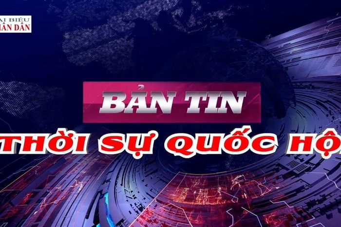 Bản tin Thời sự Quốc hội ngày 2/4/2026 - Đại Biểu Nhân Dân