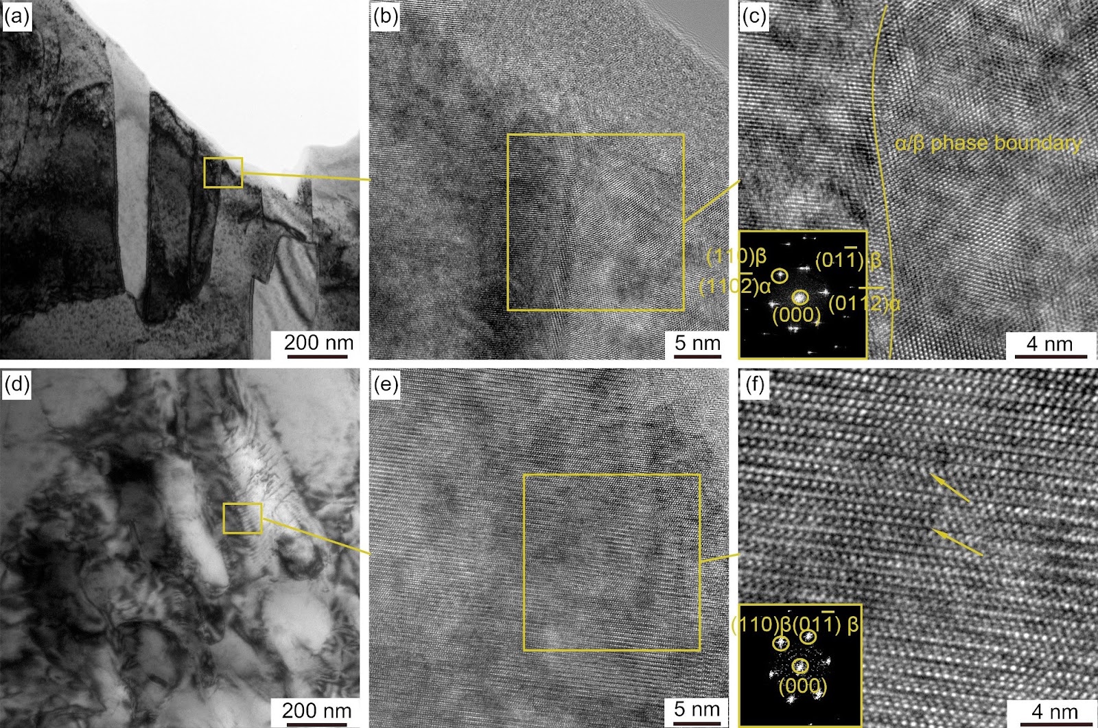 Influence of Nb addition on microstructure evolution and superplastic behavior of Ti-5Al-5Mo-5Cr-2Zr-xNb titanium alloy at 923 K