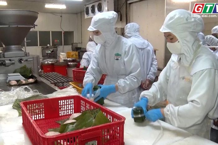 Toàn cảnh Gia Lai 24h: Xử phạt 10 cơ sở vi phạm an toàn thực phẩm với số tiền 44 triệu đồng - Báo Gia Lai