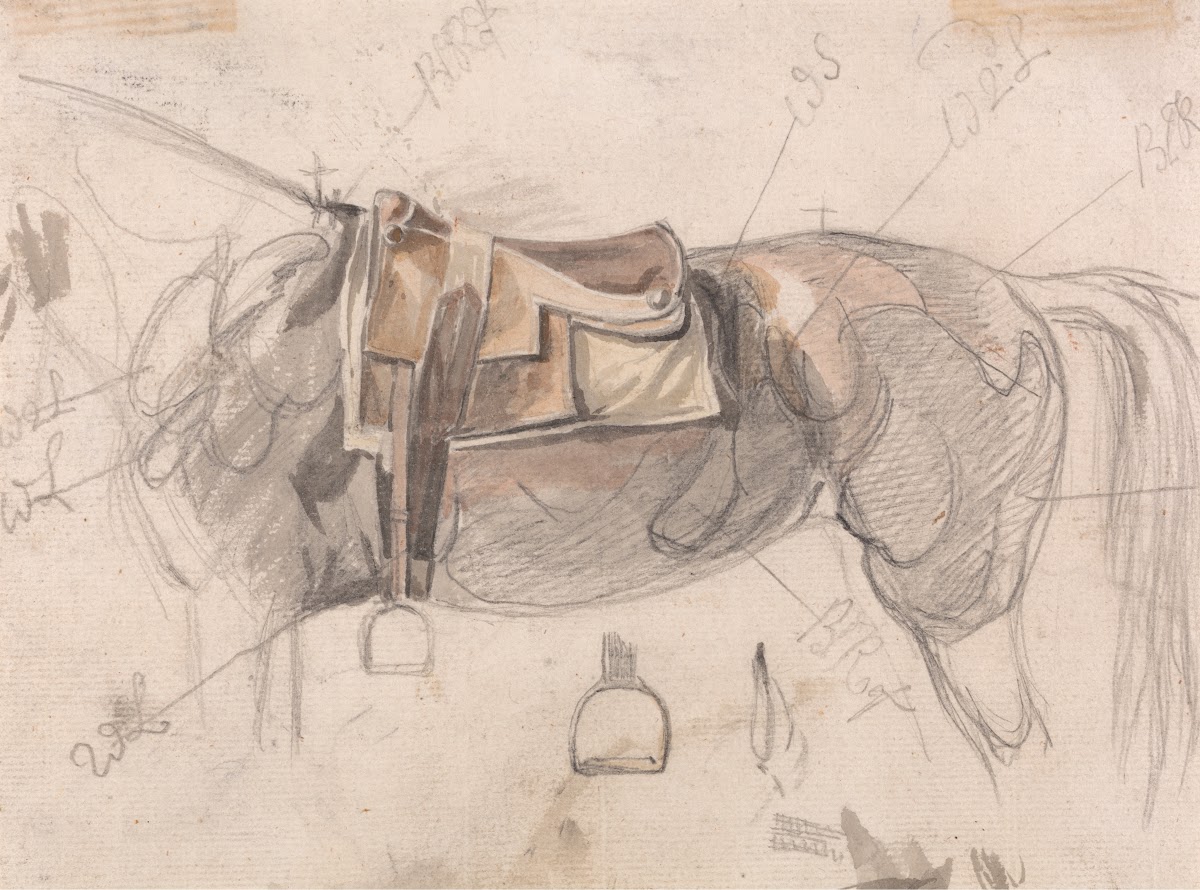 A Racing Saddle on a Horses Back With Details of Stirrup