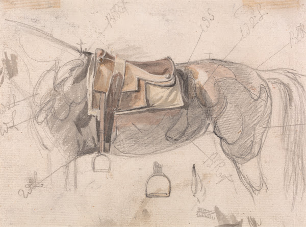 A Racing Saddle on a Horses Back With Details of Stirrup