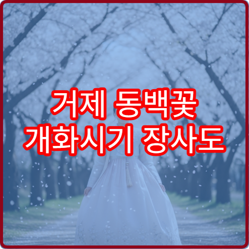 거제 동백꽃 개화시기 장사도 동백꽃 절정 시기