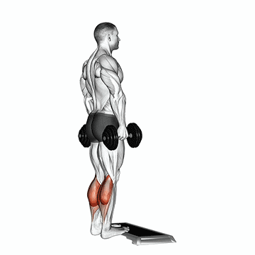 Dumbbell Standing Calf Raise