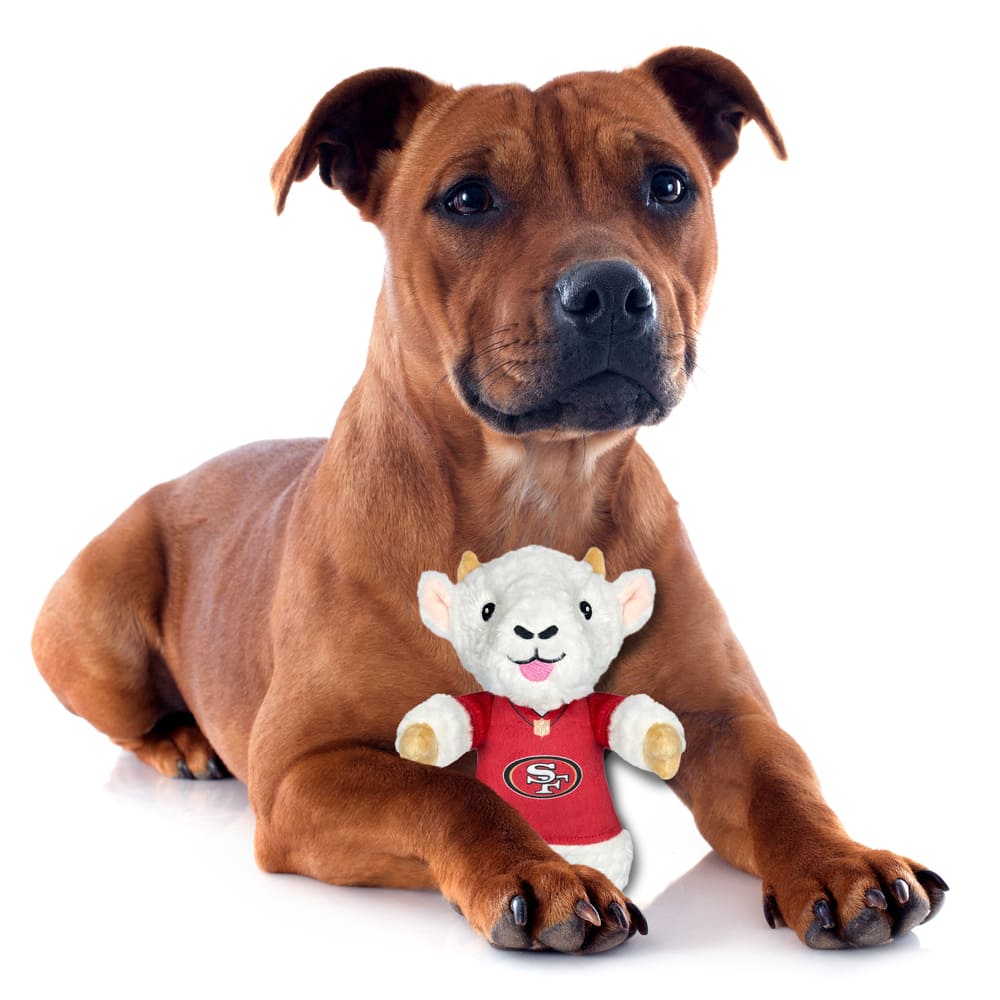 Juguete para perro con forma de cabra Pet First Company™ NFL™ 49ers