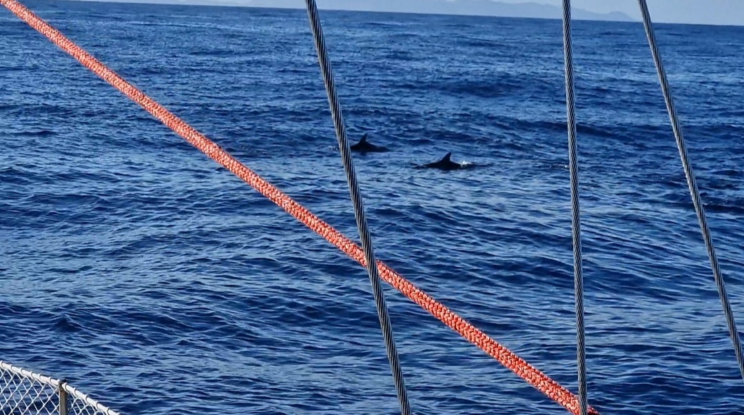 Photo de la navigation NAV-021