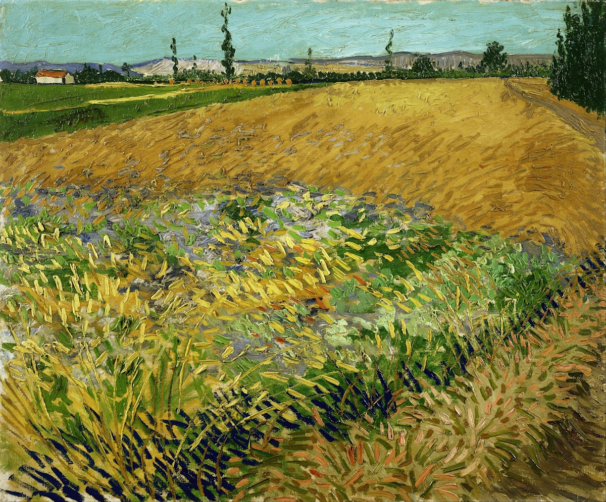 Wheatfield 1888