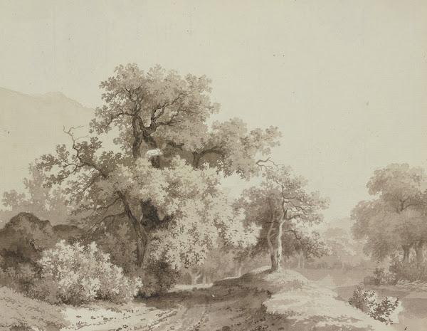 Landschaft mit großen Bäumen