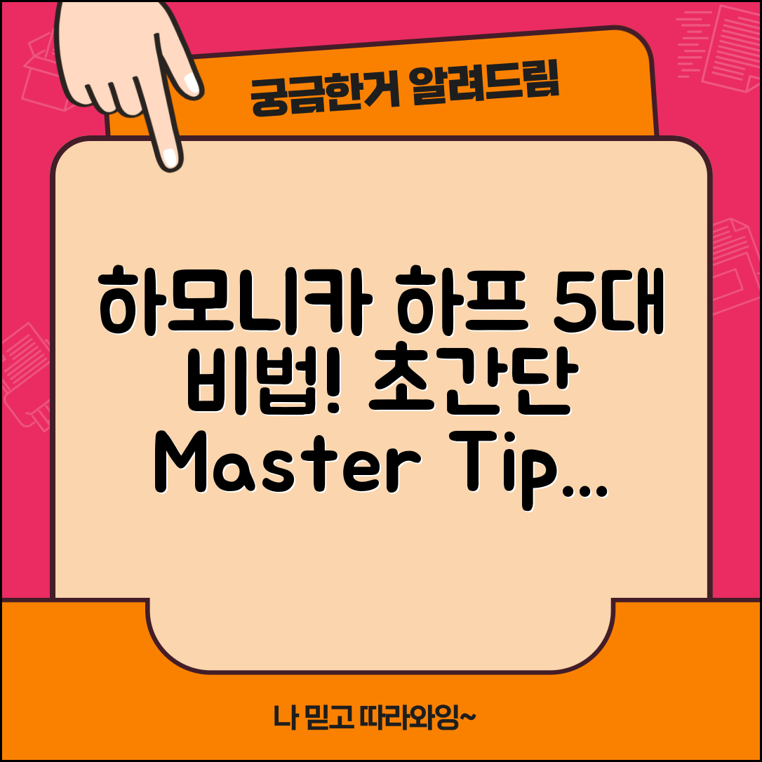 하모니카하프마스터의 5가지 비법