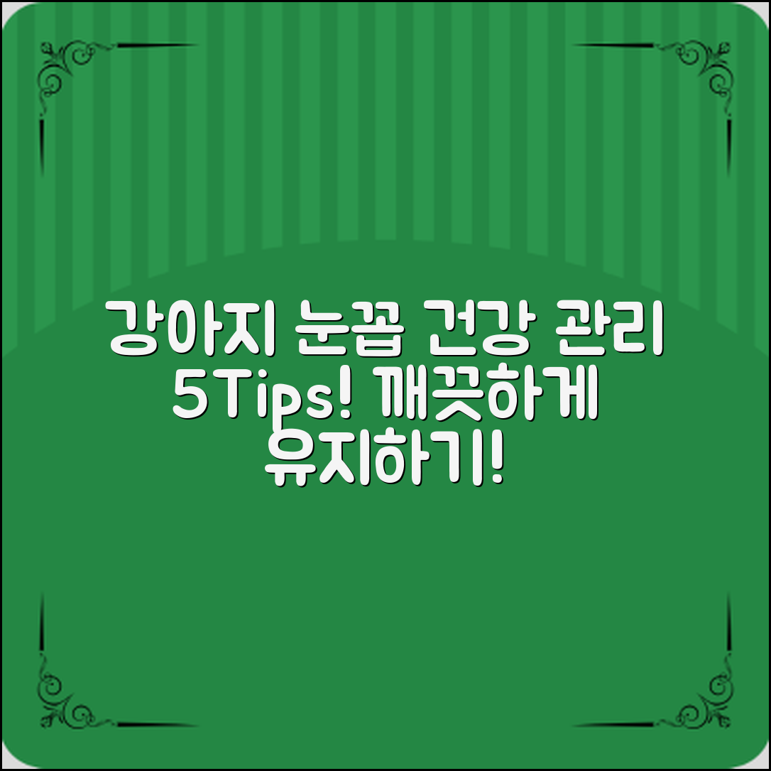 강아지 눈꼽 관리, 5가지 팁으로 건강 지키기