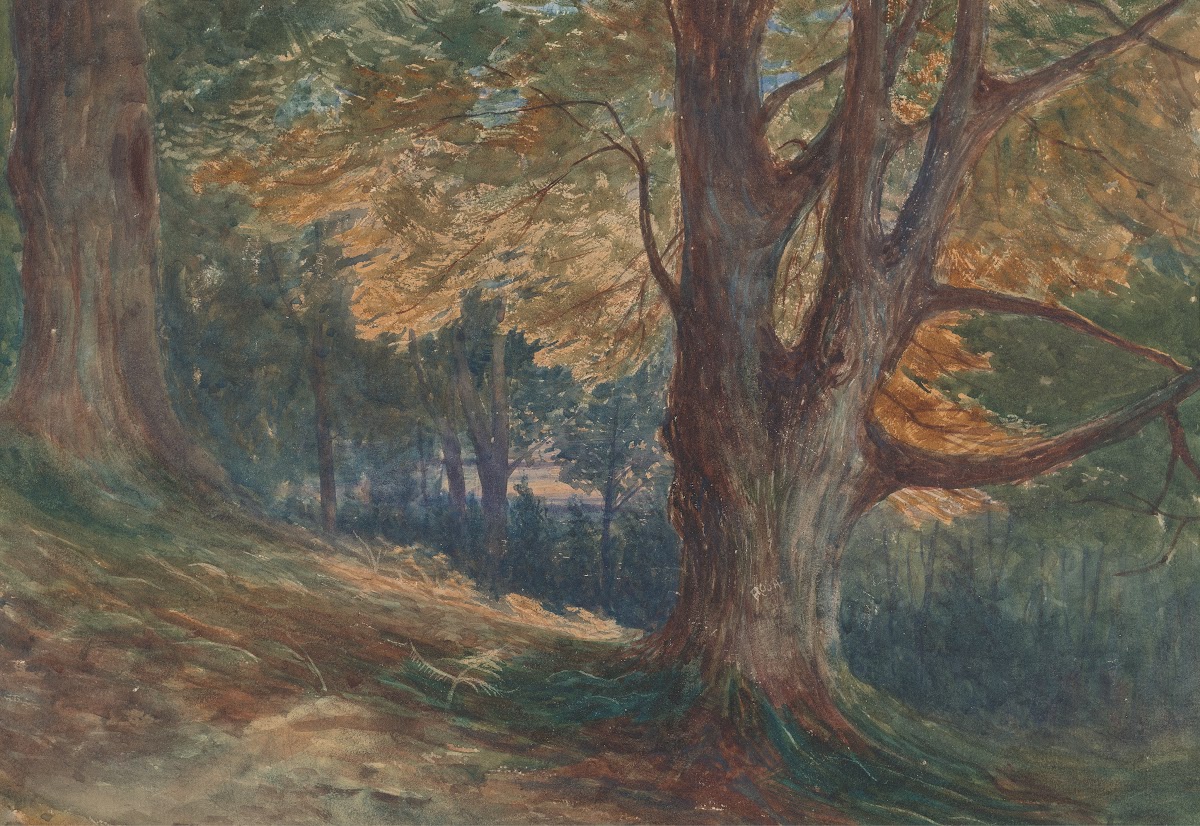Trees on a Hill in a Wooded Landscape