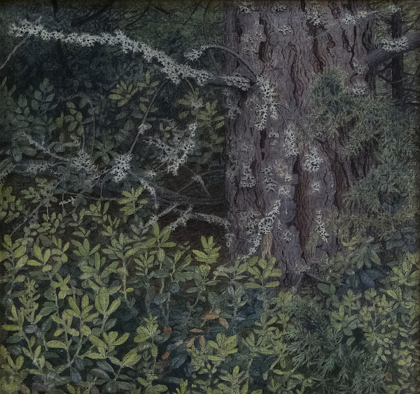 Foliage 1899