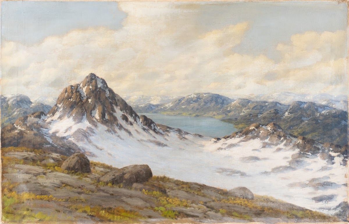 View over the glacier