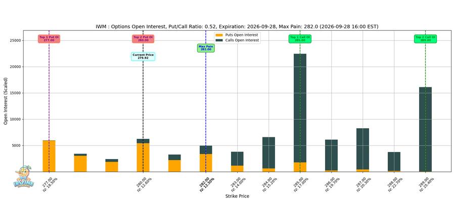 IWM Options