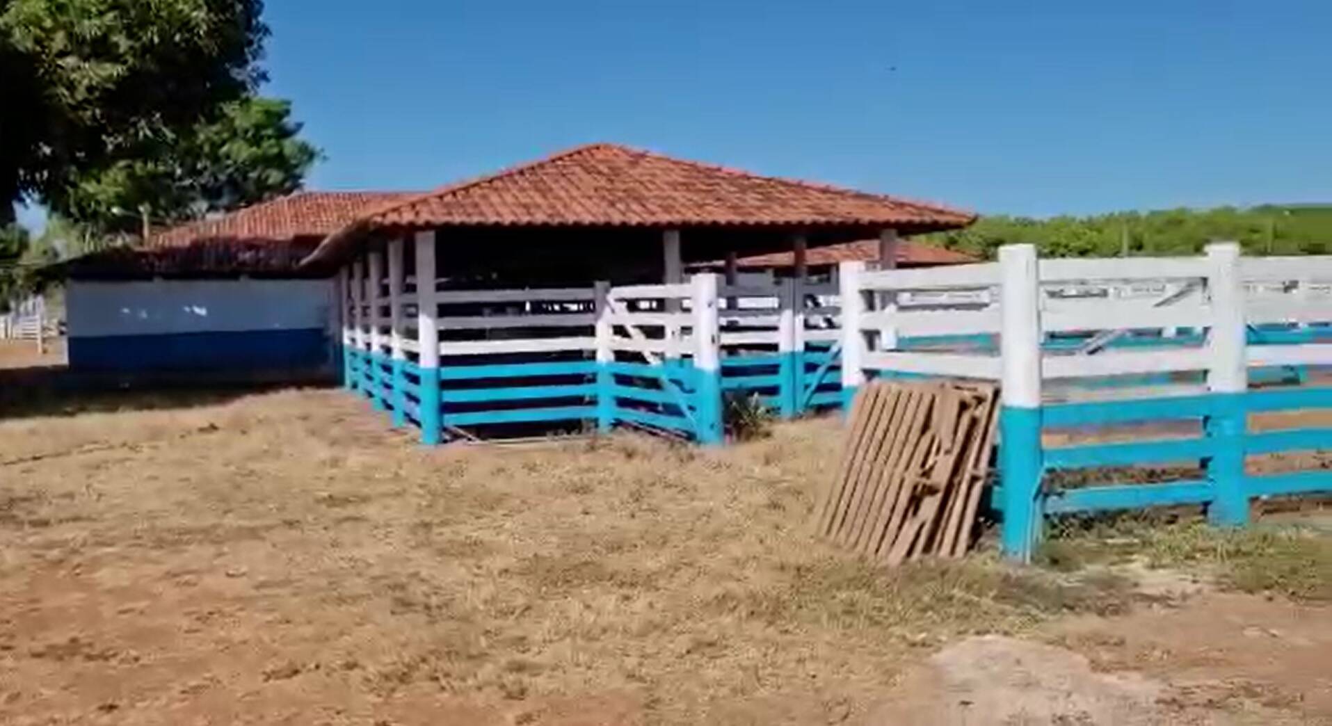 Fazenda em Formosa-GO 6