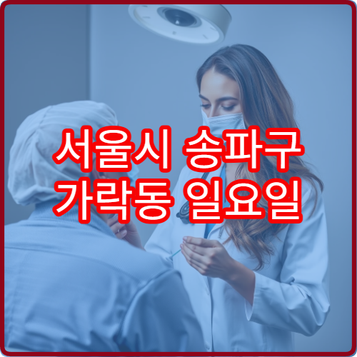 서울시 송파구 가락동 일요일 치과 진료 병원 응급 치통