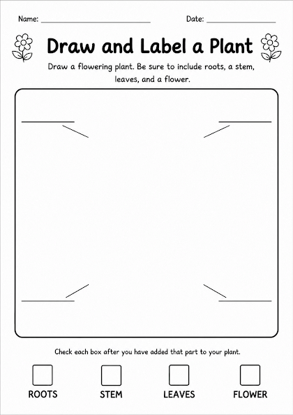 Draw and Label a Plant