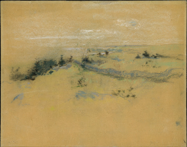 Landscape after 1890