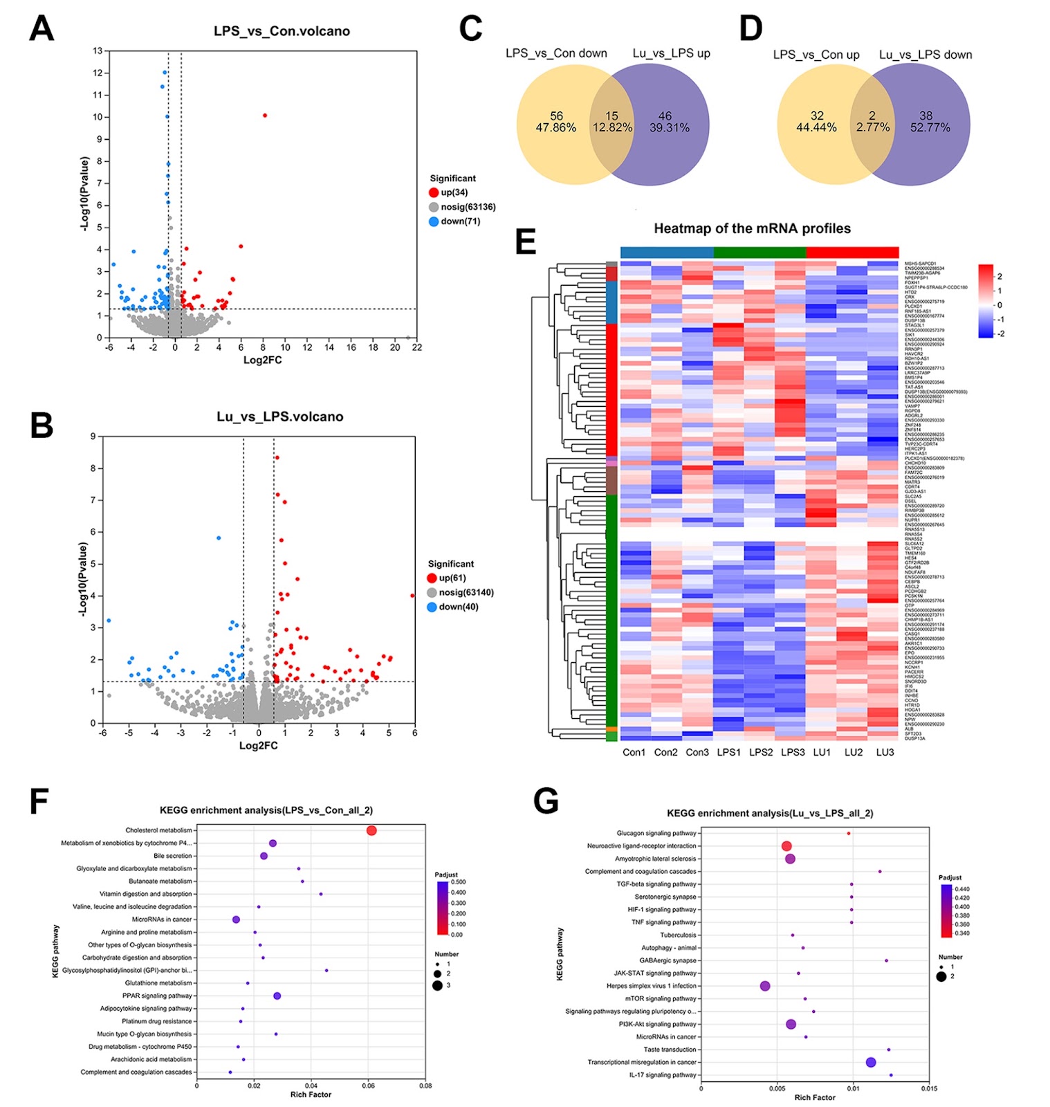 Lutonarin attenuates LPS-induced intestinal epithelial barrier dysfunction: a functional and transcriptomic analysis