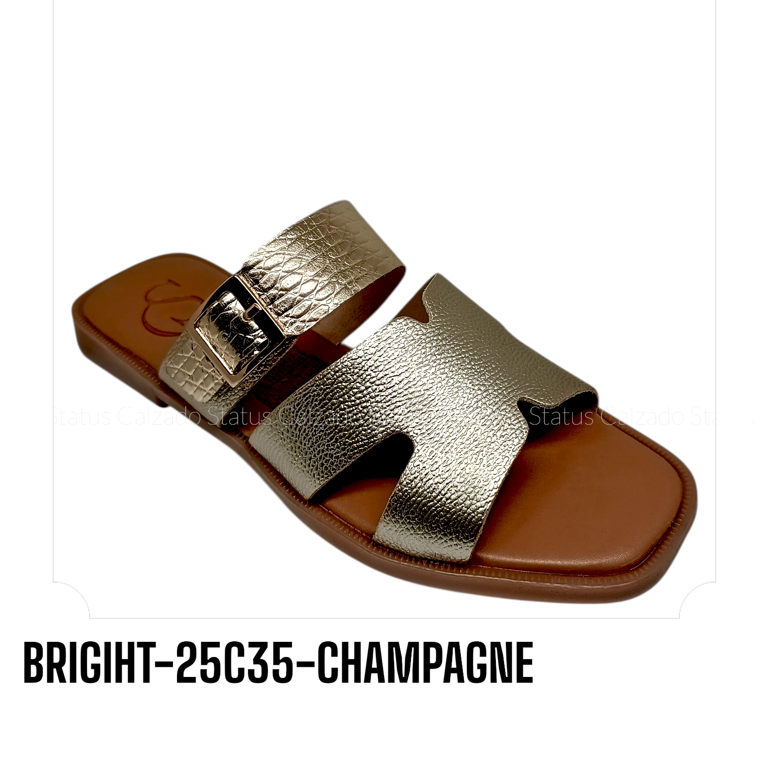 BRIGIHT-25C35-CHAMPAGNE