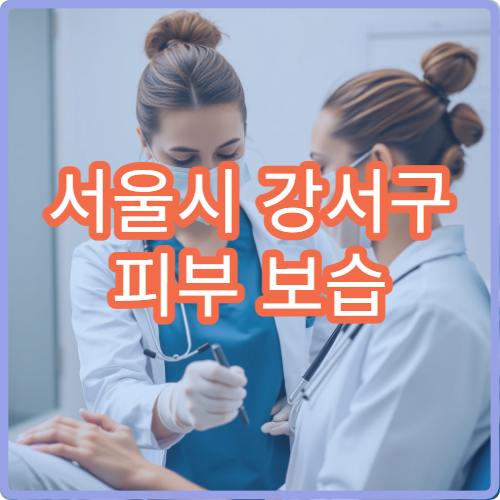 서울시 강서구 피부 보습 관리 건조 피부 장벽 강화 클리닉 병원