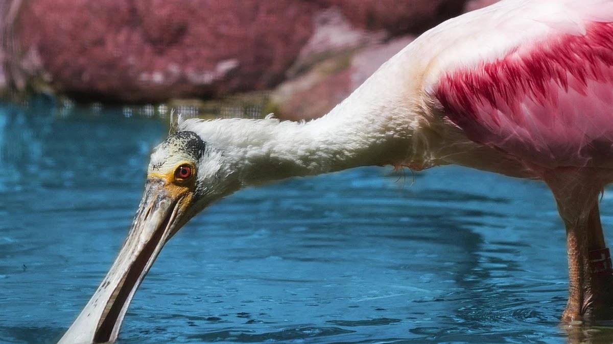 의료비 환급 신청 시 꼭 알아야 할 핵심 용어 해설