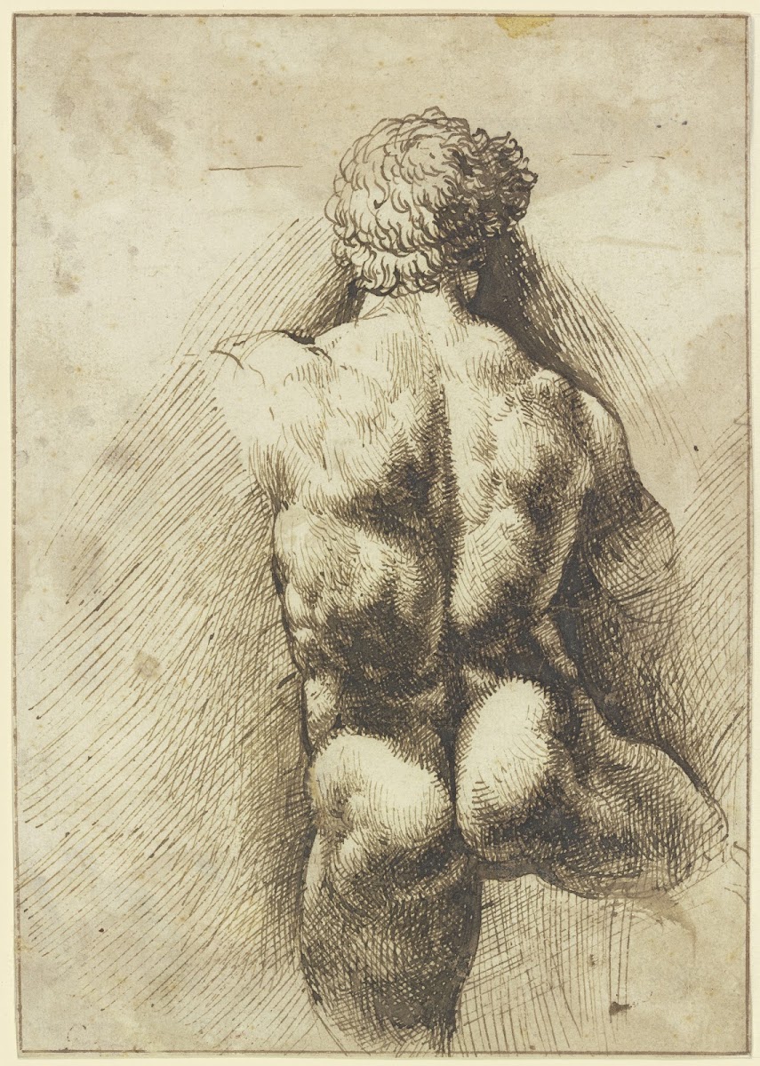 Männlicher Rückenakt Torso ca 1520 1525