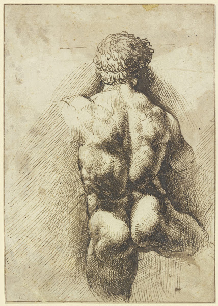 Männlicher Rückenakt Torso ca 1520 1525