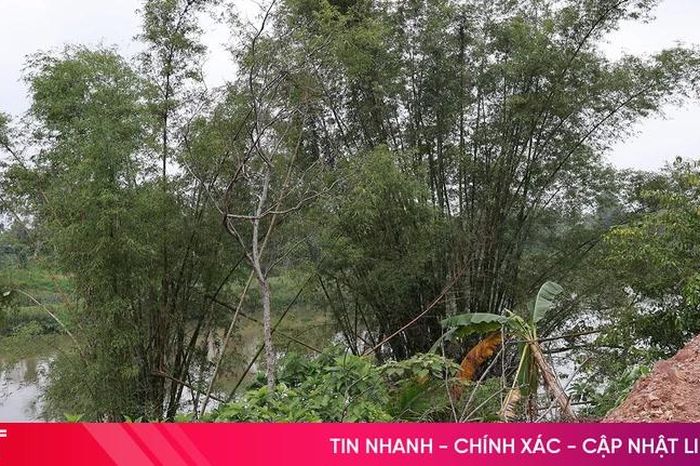 Sạt lở bờ sông Ngàn Phố uy hiếp nhà dân ở xã Sơn Giang - Báo Hà Tĩnh