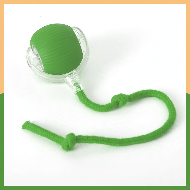 Interactive cat toy with tail