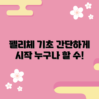 펠리체 기초, 펠리체 추천, 2023 트렌드, 쉽게 시작하기, 펠리체 활용법