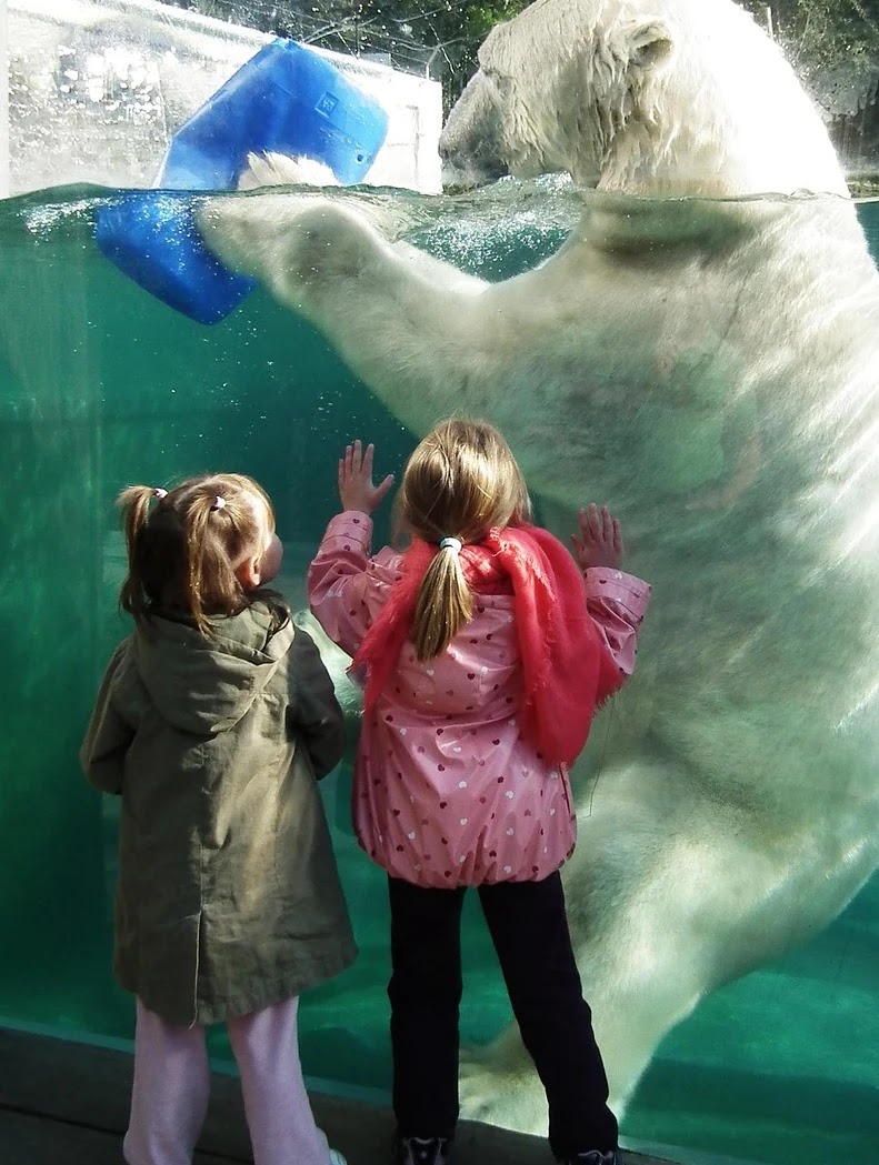 GPT 모델 구조와 전통 언어모델의 핵심 차이점 분석