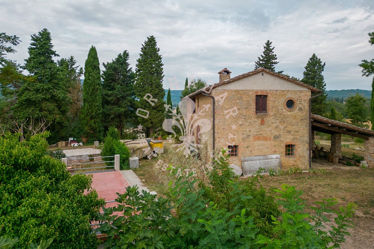 פודרה טארלטלו (Podere Tarlatello) — 15