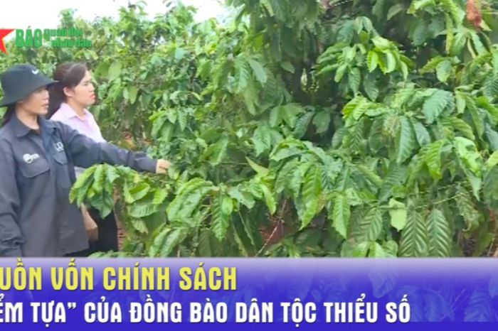 Nguồn vốn chính sách - 'Điểm tựa' của đồng bào dân tộc thiểu số - Báo Quân Đội Nhân Dân