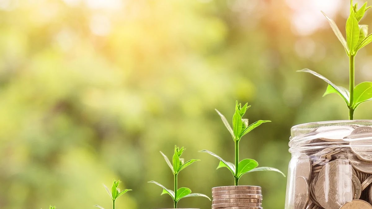 채권 투자 기본 개념과 금리 변동에 따른 가치 변화 이해